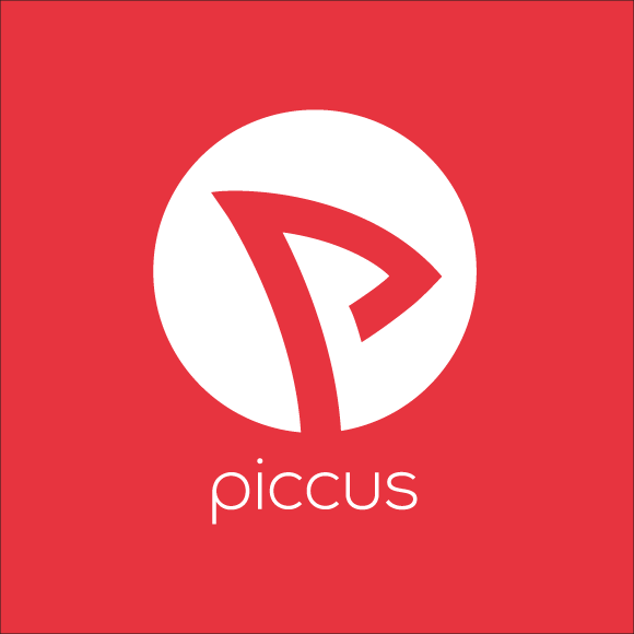 Piccus Handyshop
